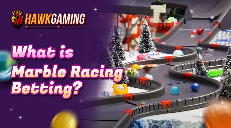 What is Marble Racing Betting